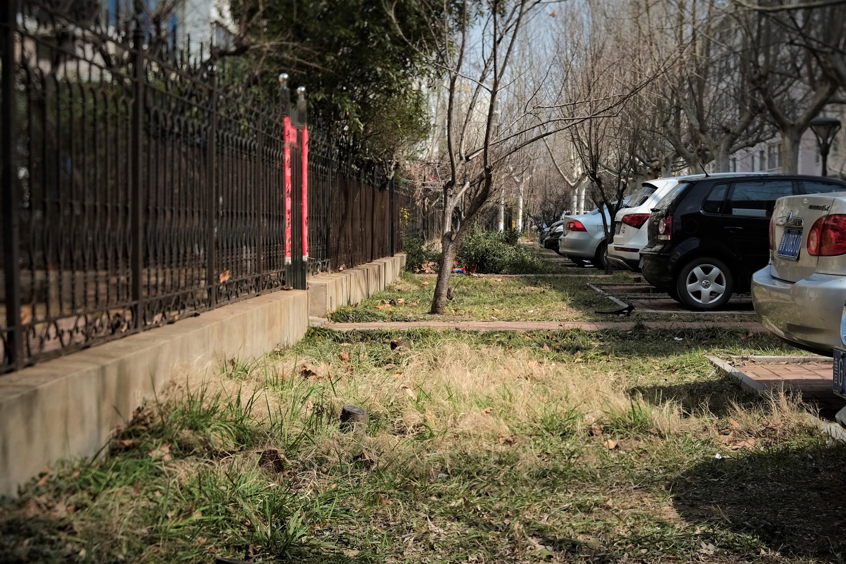 「老相机」照片中毒/二手富士X-PRO1+七工匠25mmF1.8的魅力