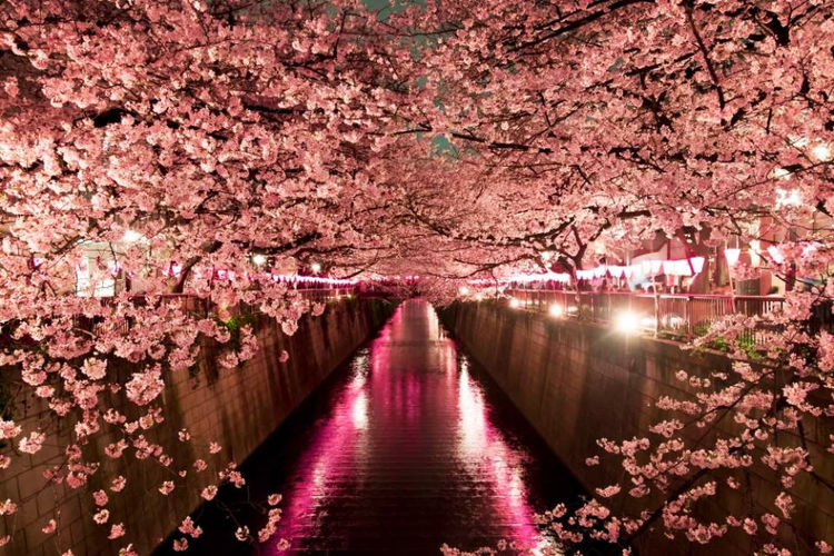 国外旅拍婚纱照全攻略,浪漫旅行地推荐