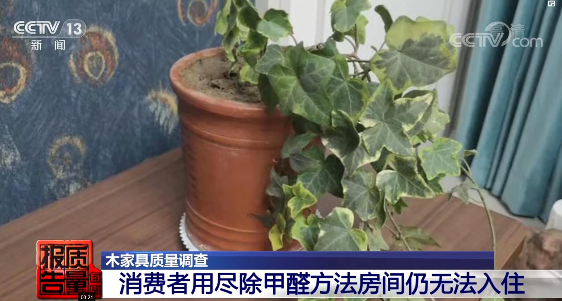 木质的家具有毒吗,木头的家具有毒吗