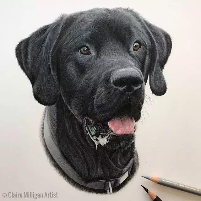 彩铅如何画得非常细腻,彩铅画的很好看零基础