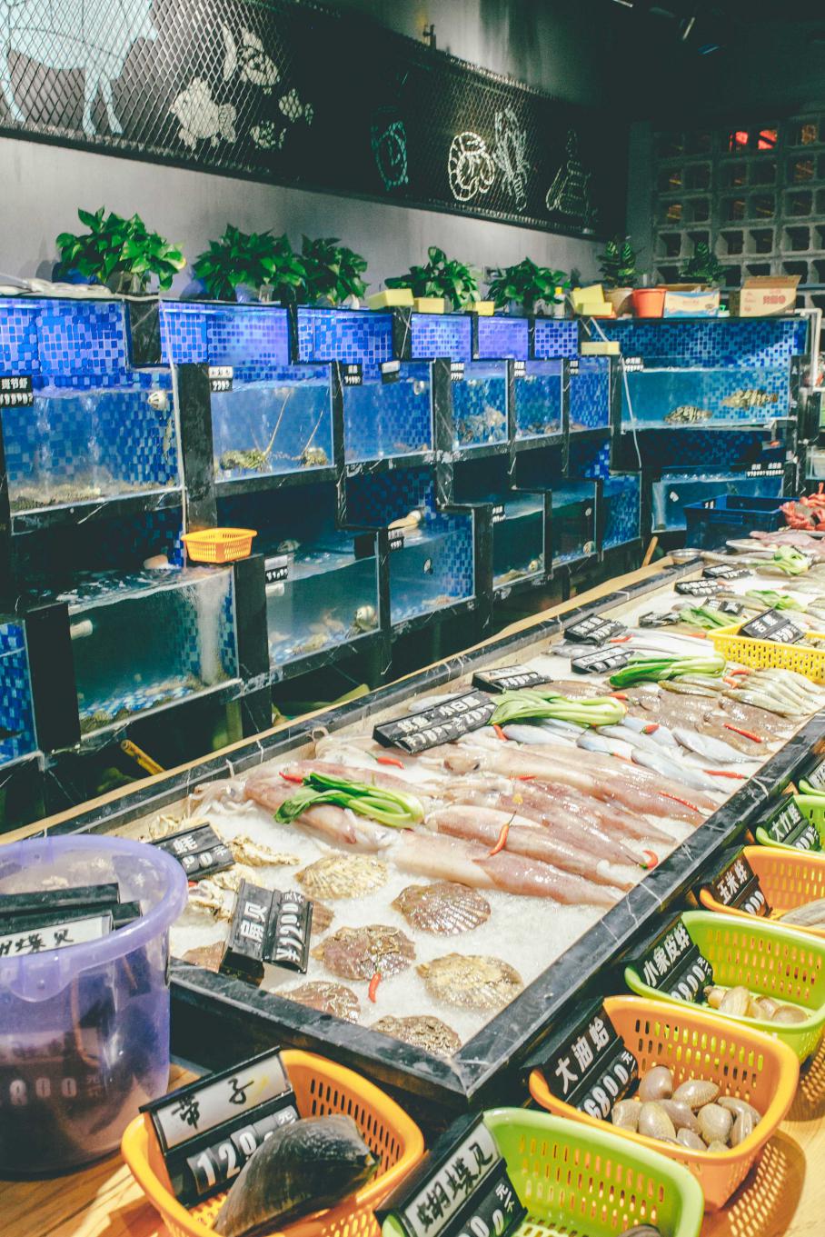 品尝厦门最美味的海鲜大餐,探索厦门风光体验海鲜盛宴