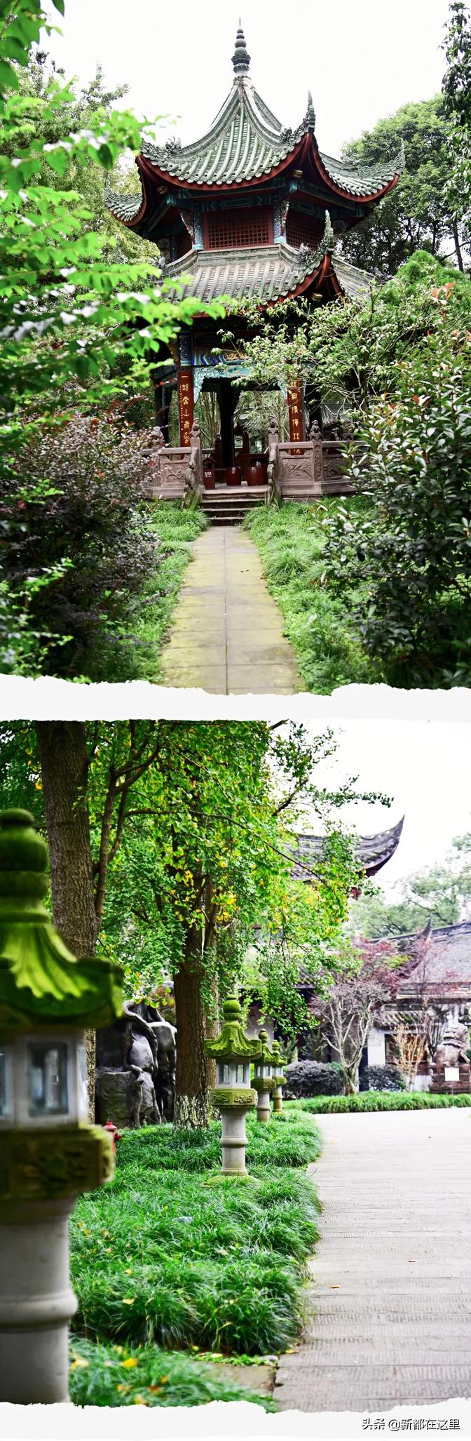 新都生活体验,来昆明感受向往的生活