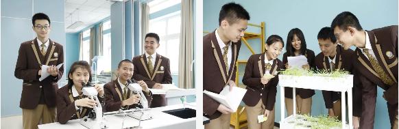 一大波奖金向你袭来,一大波春节红包正在派送中