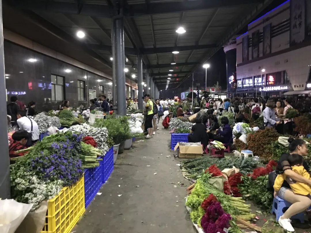 花店鲜花价格表大全,花店鲜花种类及价格表