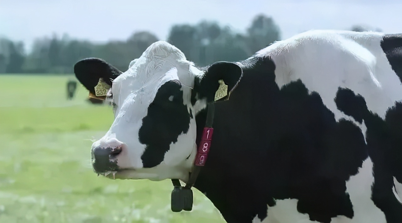 澳优珀淳奶粉2段怎么样,澳优珀淳奶粉是原装进口吗