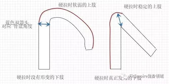 如何提高深蹲伸髋力量,深蹲和硬拉锻炼的肌肉部位图