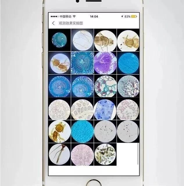 挖到小汽车奇趣玩具,挖到宝的玩具大全
