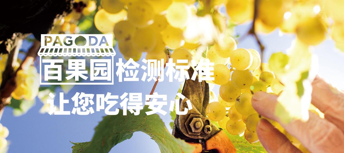 招商加盟品牌营销方法论方案,招商加盟品牌营销