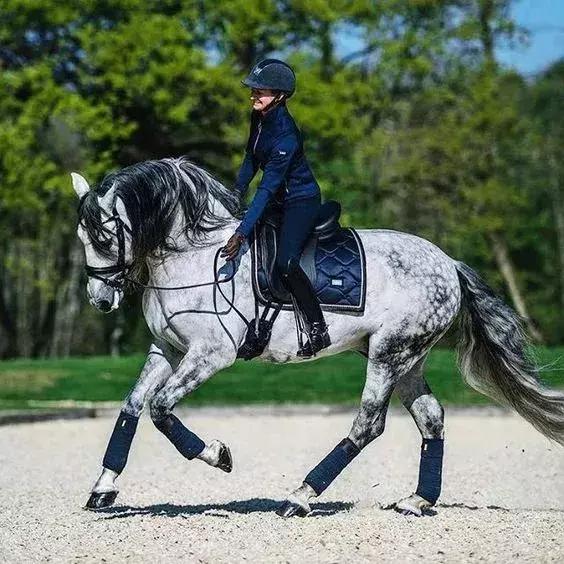 怎么克服赛前的紧张,如何克服赛前紧张干呕