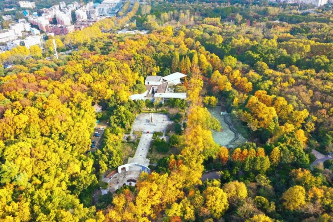 最漂亮的雨花台,雨花台风景太美了
