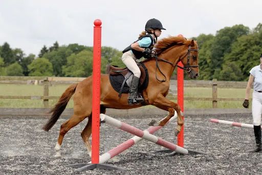 许幻山详细解析,许幻山丢高尔夫球