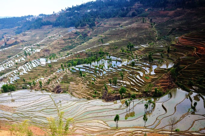 红河梯田和元阳梯田面积,元阳梯田也叫红河哈尼梯田