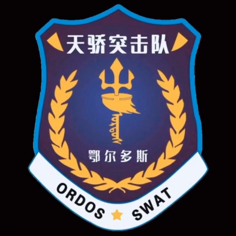 全国各个城市特警队臂章,公安特警帅图