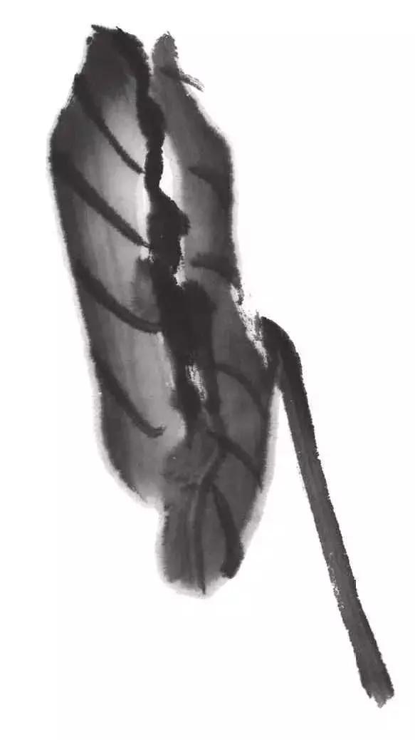 白描荷花的画法图片,如何画荷花国画白描