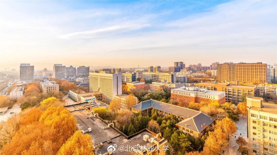 北京“绿色学府”：占地13176亩，坐拥8大餐厅，新华社、中央电视台聚焦关注！