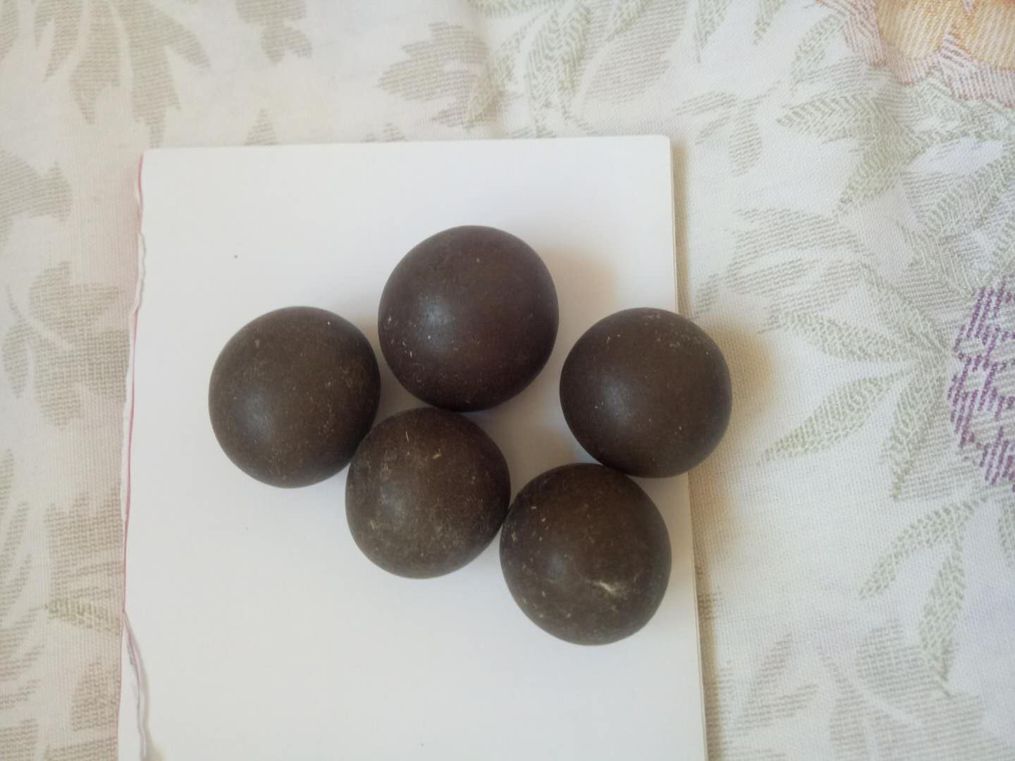 最新精品羊,罕见羊宝