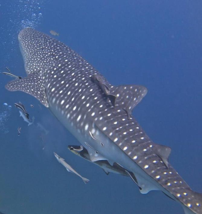 避免拥堵国庆旅游路线,假期省内游避堵攻略