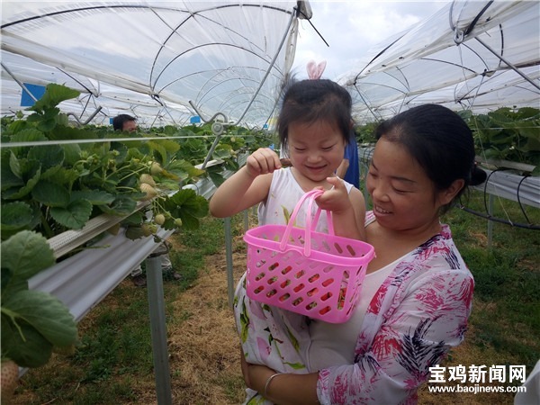 便民利企提质增效,最多跑一次便民服务内容