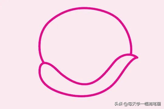 小乌龟简笔画的各种画法,如何画乌龟的简笔画教程