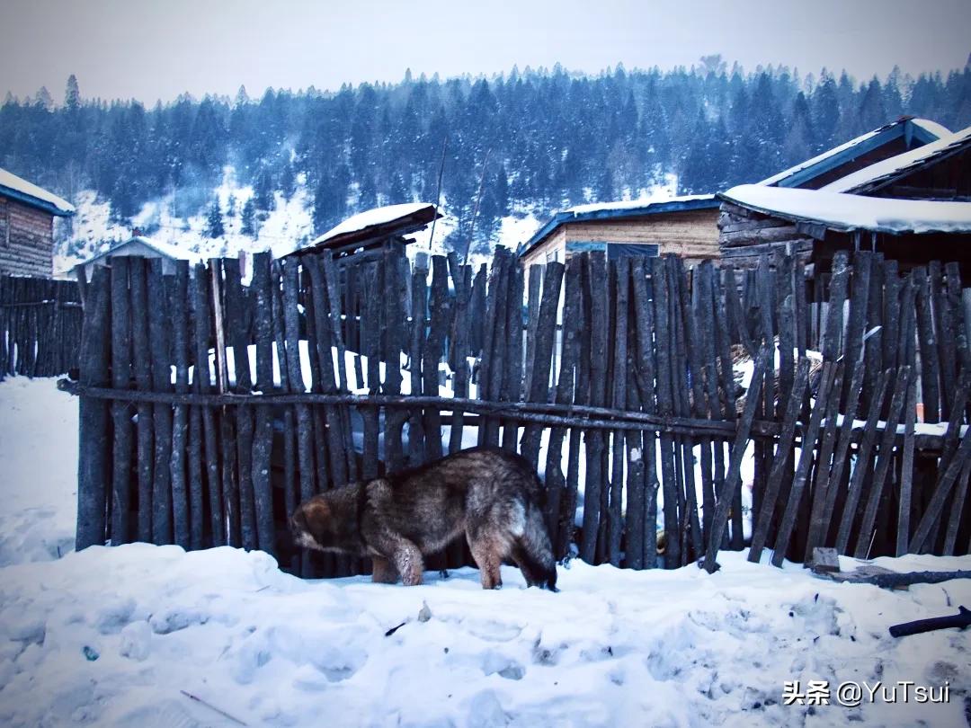 福七背后的故事,福七案件