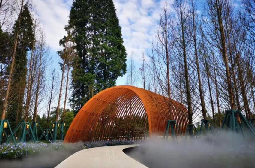 走出镜头的青城溪村，一处现实版“乌托邦”