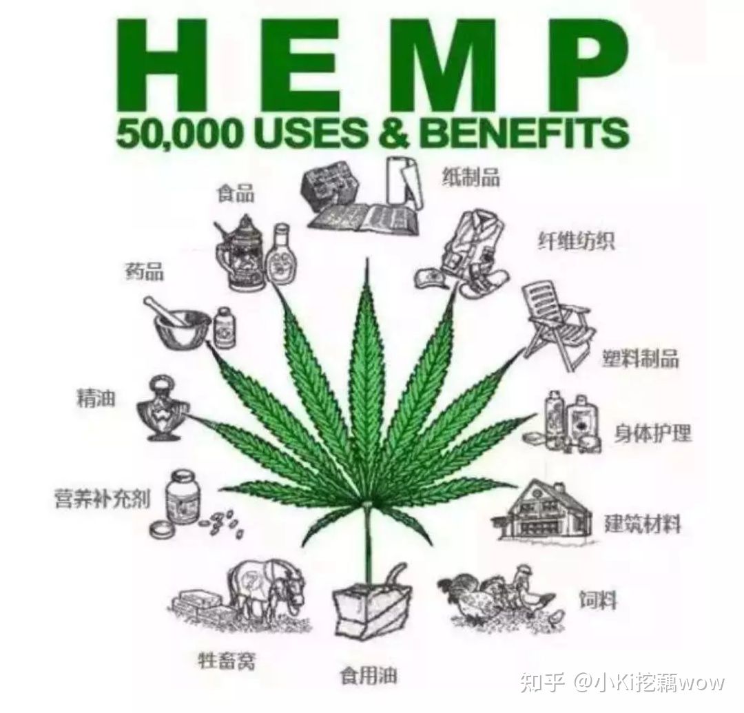 cbd成分为什么被禁用,cbd是什么成分的产品