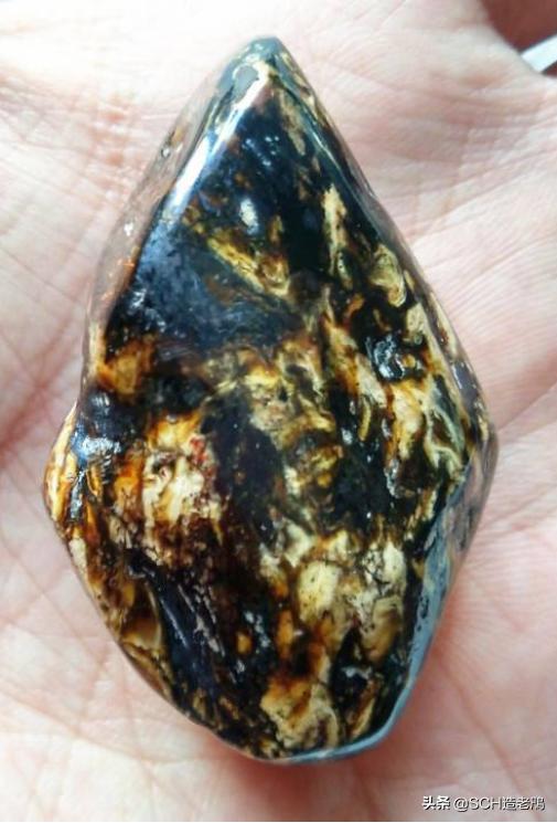 关于琥珀形成的资料,琥珀的种类及介绍