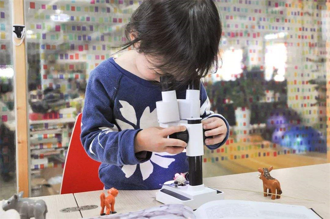 鸟笼效应怎么教育孩子,刻板效应和鸟笼逻辑