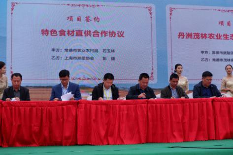 常回家看看！2020年，上海湘菜餐饮人再出发的“192小时”