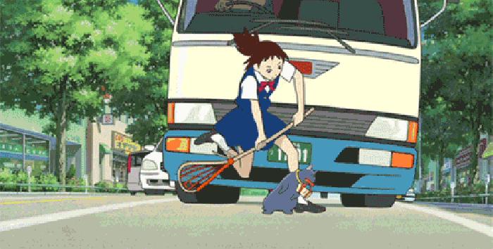 猫的报恩在哪里才看得到,猫的报恩行为