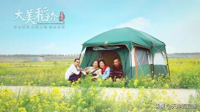 天津油菜花什么时候开,天津周边看油菜花最好的地方