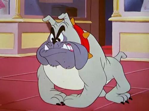 美国家庭都养什么犬,美国人喜欢养什么猛犬