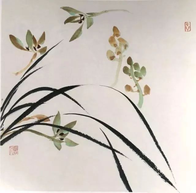 水墨怎么画兰花最好看,如何画兰花大全图片