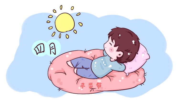 猪宝宝几月出生最好最有福气,猪几月出生最有福气