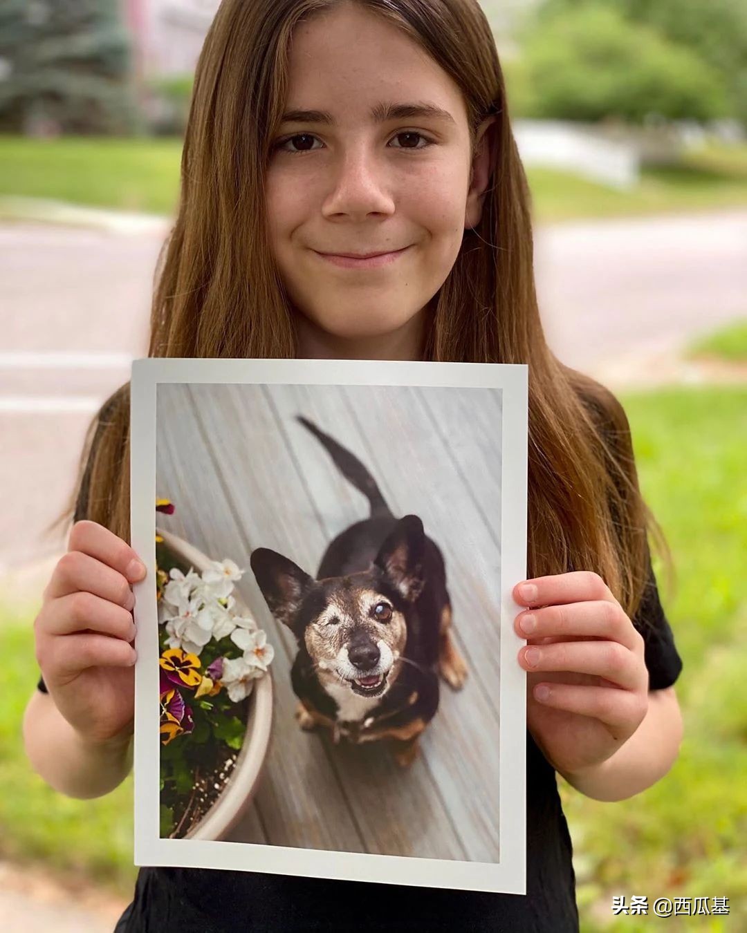 每天摸一只小狗小猫,每天摸一只小猫小狗