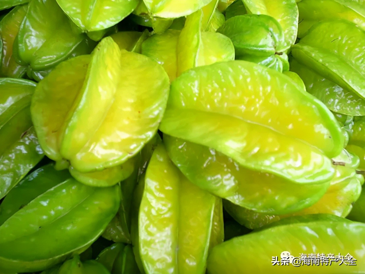 来海南必买的十大特产水果,你吃过哪个?