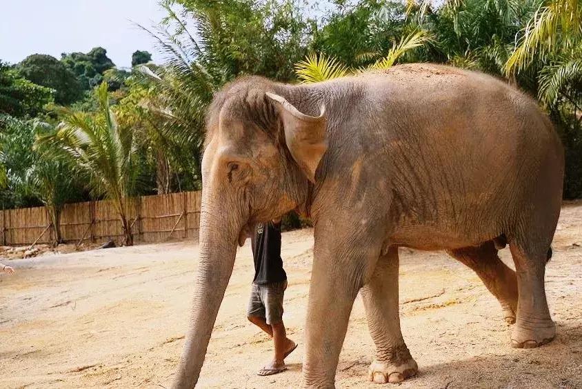 普吉岛雨天游玩攻略视频,普吉岛旅游帆船3天2晚