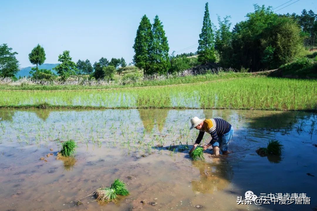 四川岳池黄龙水库,岳池黄龙杨家沟水库