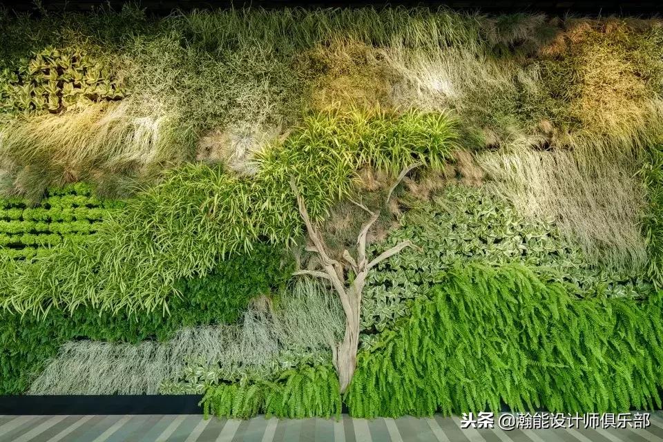 四季酒店的法式意大利餐,四季酒店意大利自助餐