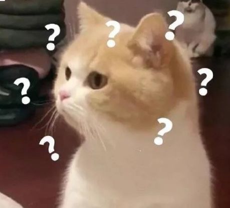 肖骁说更喜欢在颜如晶身边的自己,颜如晶肖骁一起参加了什么节目