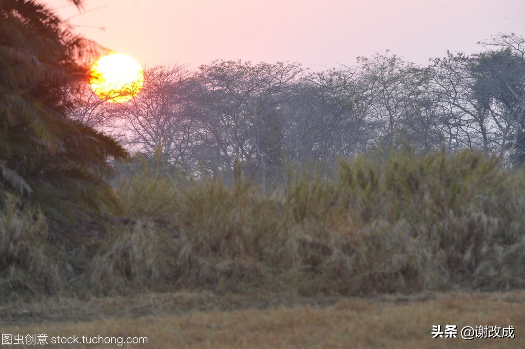 “故事”:柏子山计划第三十八章宋名恢复职务,得索初见曙光