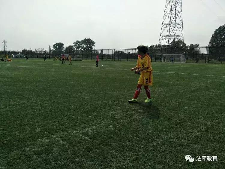 2019年沈阳市青少年校园足球比赛,2019辽宁省青少年足球锦标赛