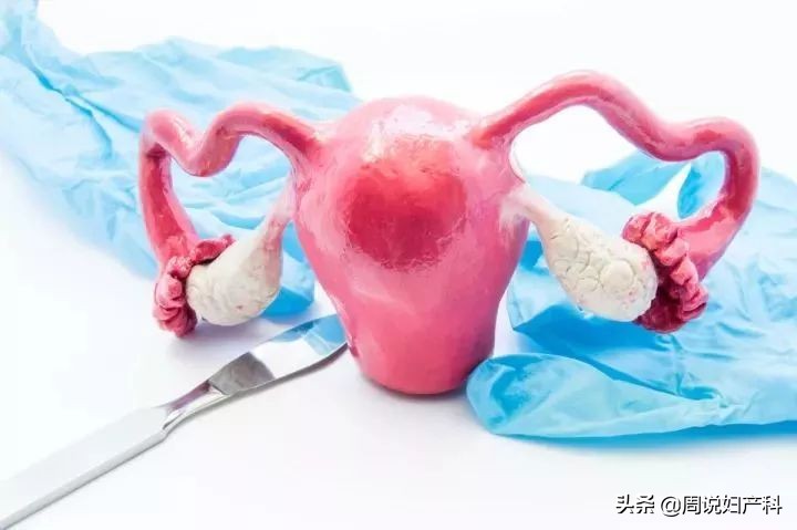 下面总是痒？也许是这个“好习惯”在作怪