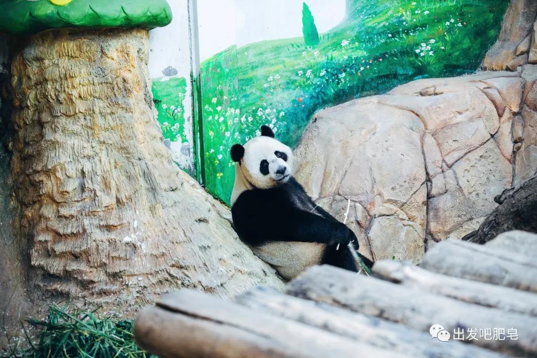 长隆飞鸟乐园怎么去长隆欢乐世界,汉溪长隆地铁站去长隆飞鸟乐园