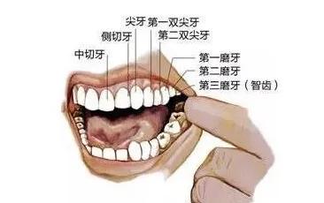 姚晨的牙齿怎么回事,姚晨育儿全过程