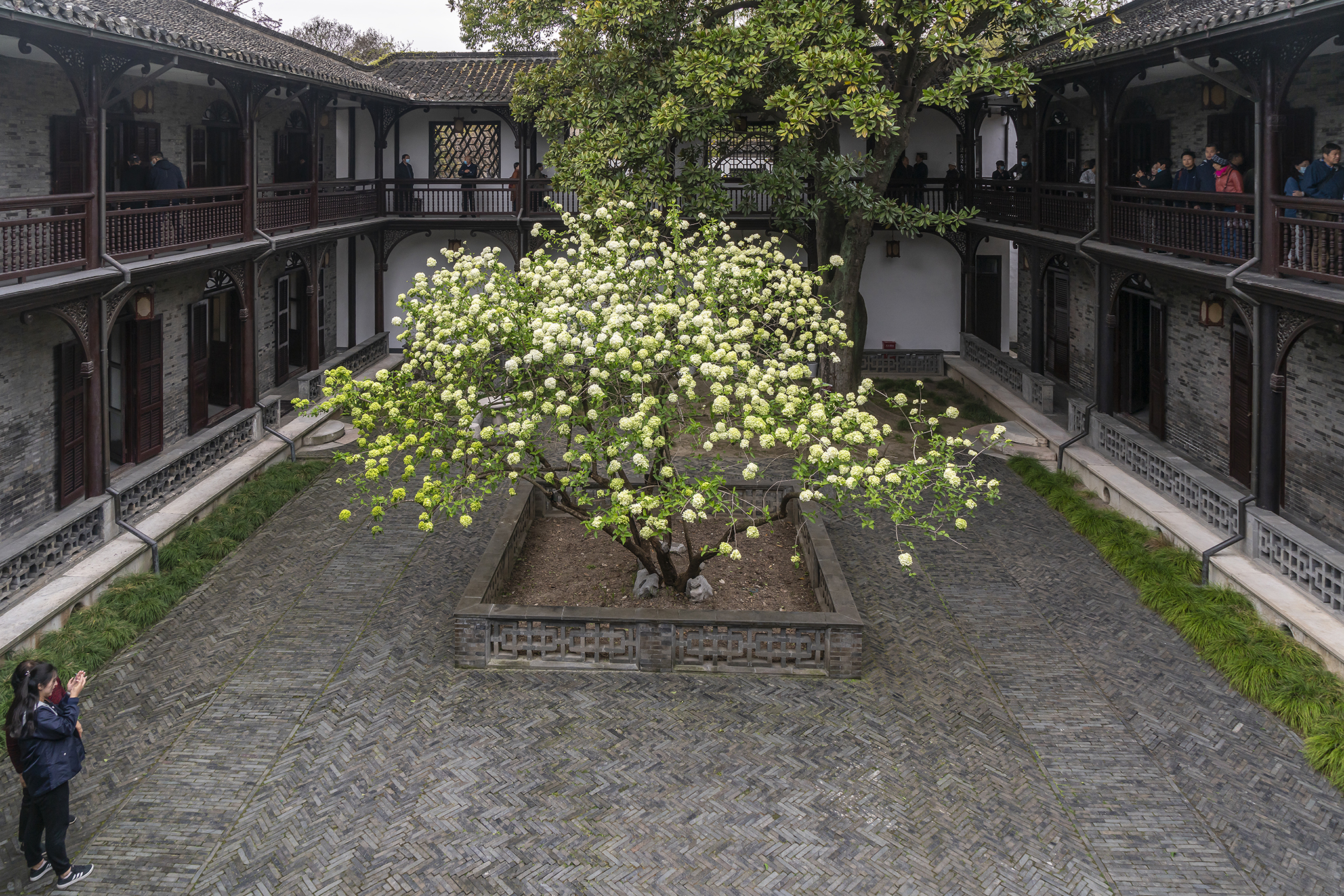 春风万里桃李满园,春风万里行书