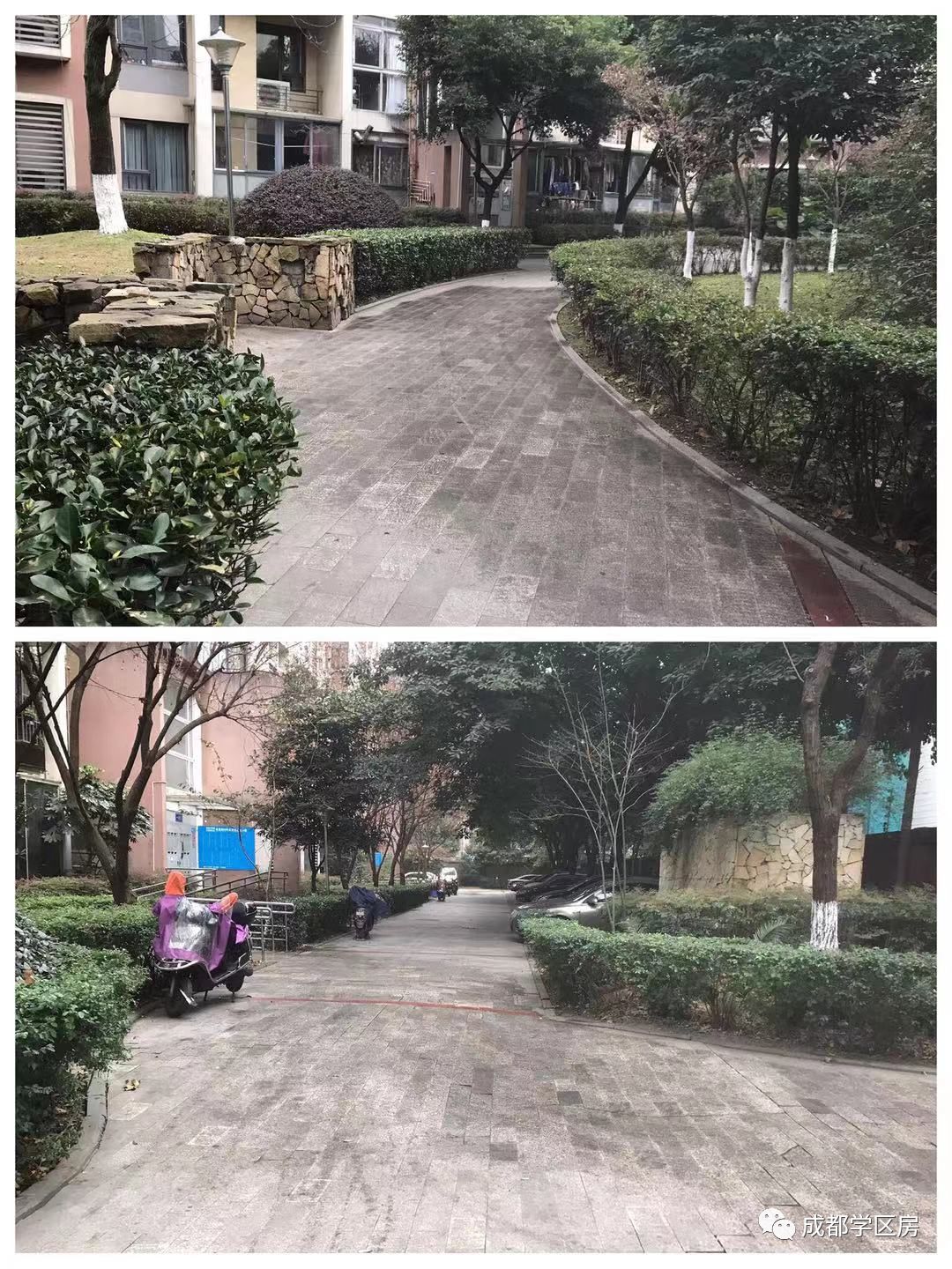 建设路附近学区房,热门双半径学区房