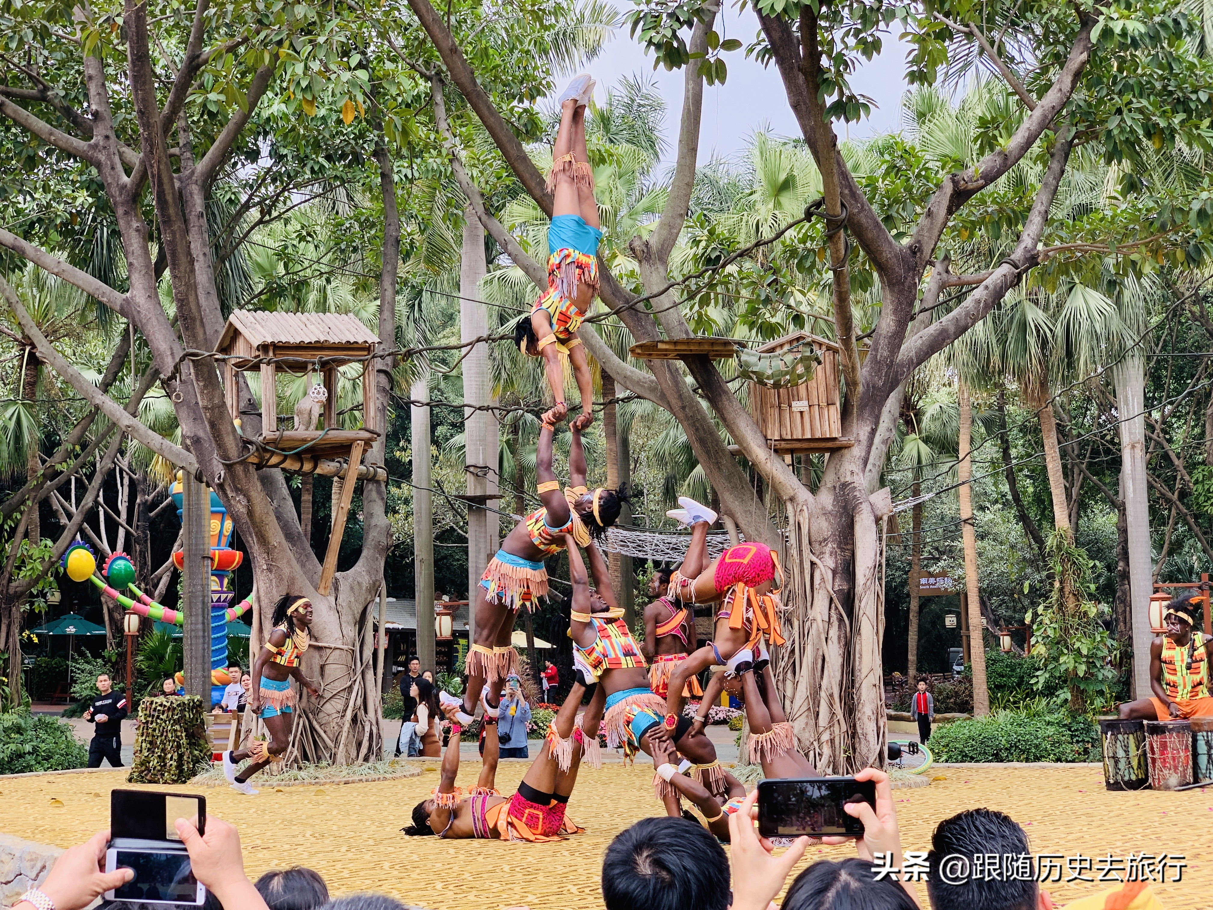 广州长隆动物园大熊猫门票多少钱,广州长隆水动物世界看大熊猫攻略