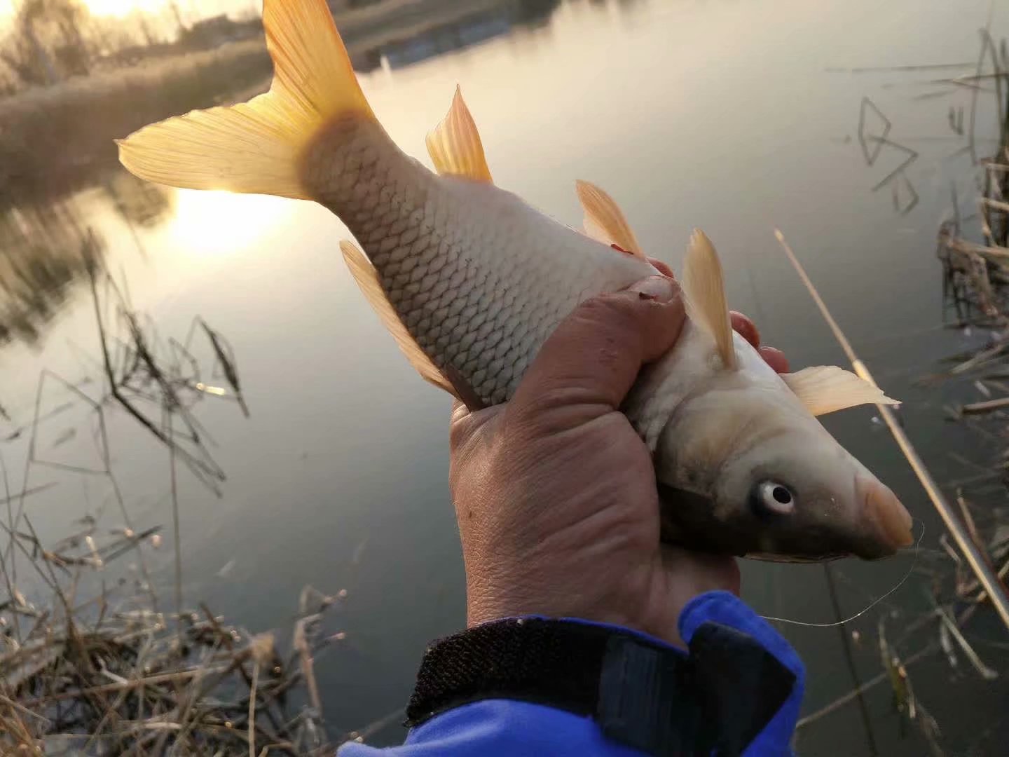 渔具线上和线下的区别,渔具在淘宝买还是京东买