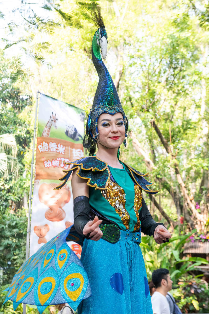 广州长隆野生动物世界旅游攻略,长隆野生动物世界攻略2-3天广州游